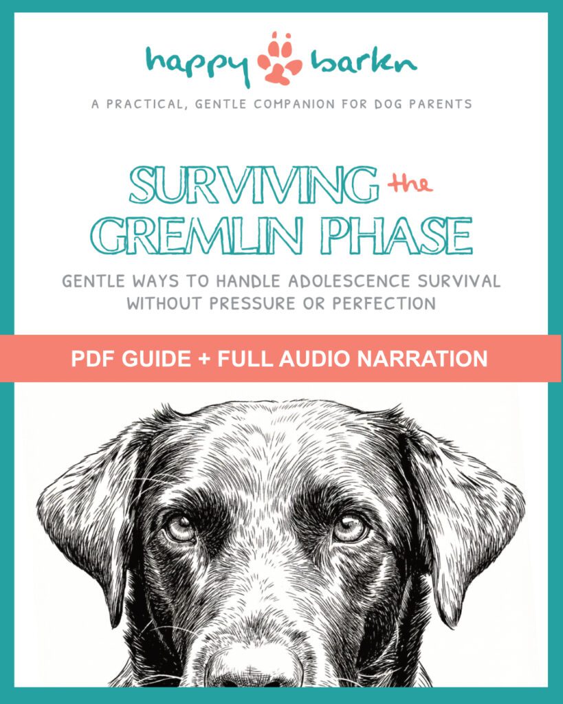 Happy Barkn Surviving the Gremlin Phase Guide Cover